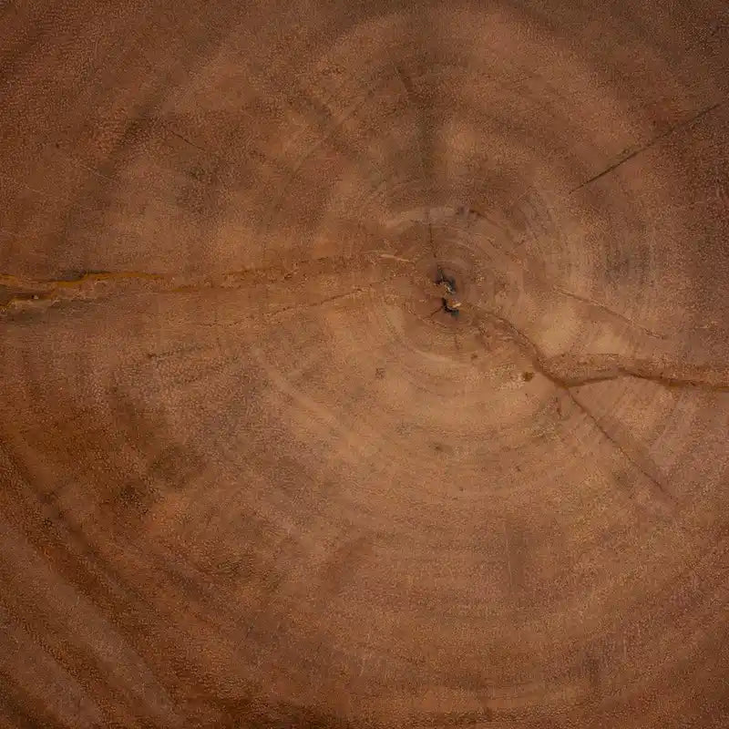 Tavolino Intagliato a Mano in Legno di Suar con Design Scultoreo a Traforo